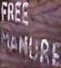 Free manure!
